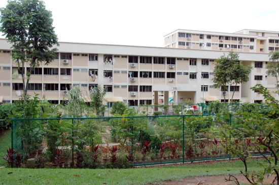 Blk 136 Petir Road (Bukit Panjang), HDB 5 Rooms #214122